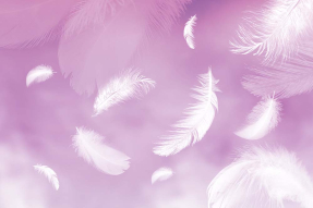Перья в розовой дымке