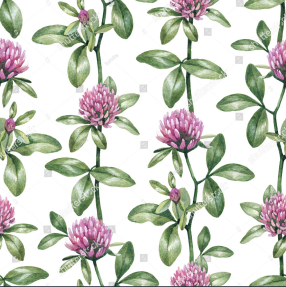 Нежный клевер