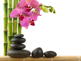 Орхидея и бамбук