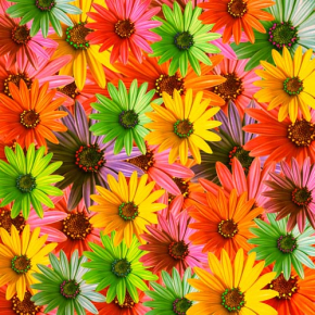 Фотообои 3D цветы
