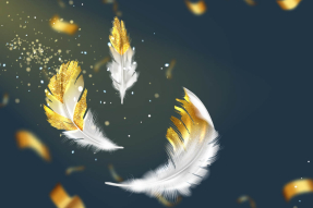 Волшебные перья