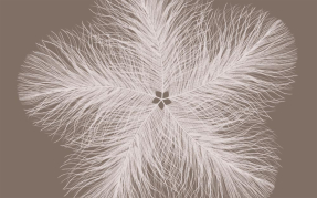 Воздушные перья