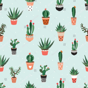 Маленькие кактусы