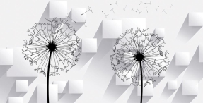 Одуванчики и квадраты