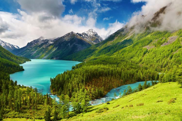 Река и лес в горах