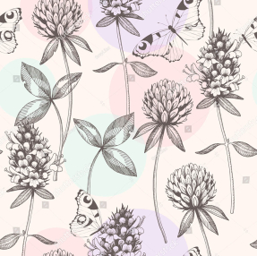 Клевер и бабочки