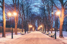 Зимний парк